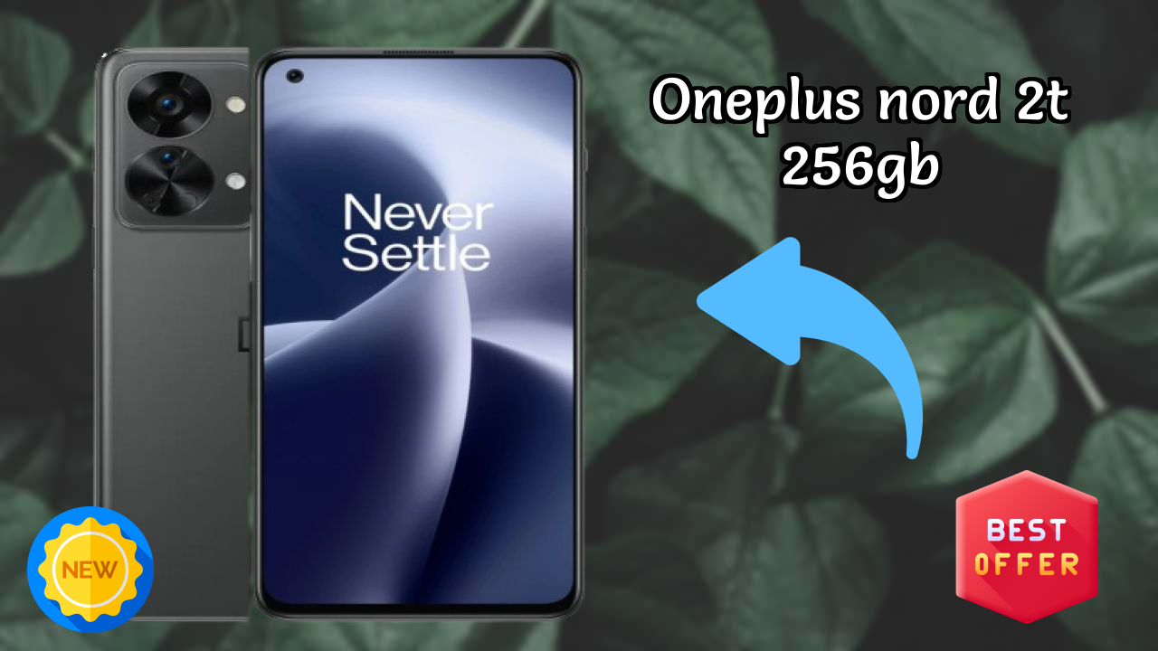 OnePlus Nord 2T 256GB Camera Quality: 50 MP + 8 MP + 2 MP Rear Camera Photo Review