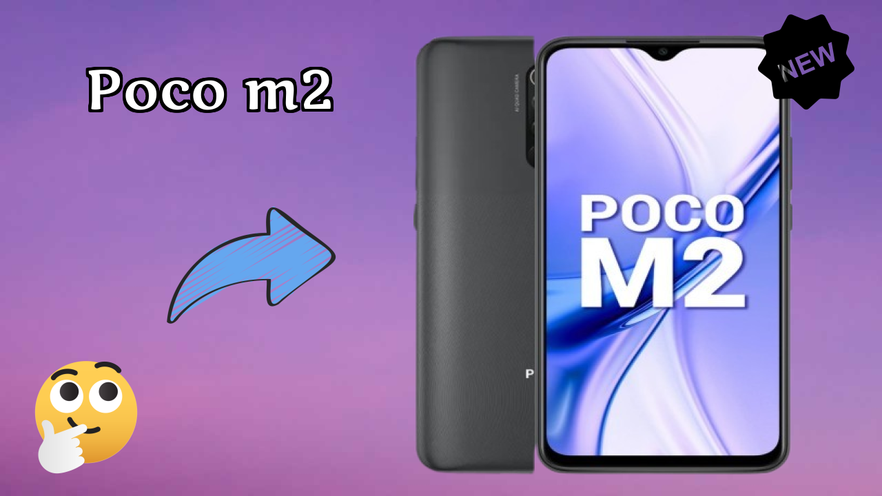 POCO M2 Camera Test: 13 MP + 8 MP + 5 MP + 2 MP Rear Camera Photo Quality